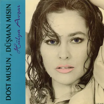 Dost Musun, Düşman Mısın by Hulya Avsar