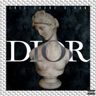 Dior by Eric Shane