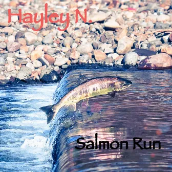 Salmon Run by Hayley N