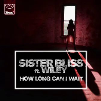 How Long Can I Wait by Sister Bliss