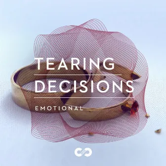 Emotional: Tearing Decisions by Sebastian Arno Sprenger