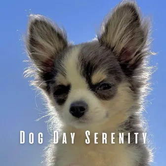 Dog Day Serenity: Ambient Music for Canine Companions by Tranquil Serene