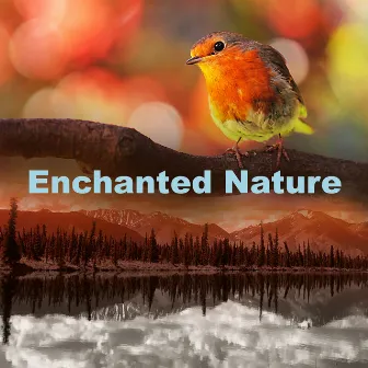 Enchanted Nature by In Beautiful Nature