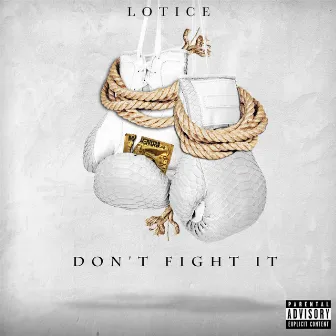 Don't Fight It by Lotice