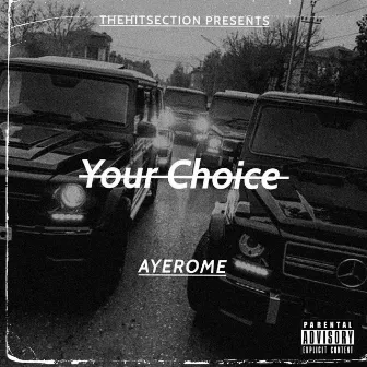 Your Choice by AyeRome