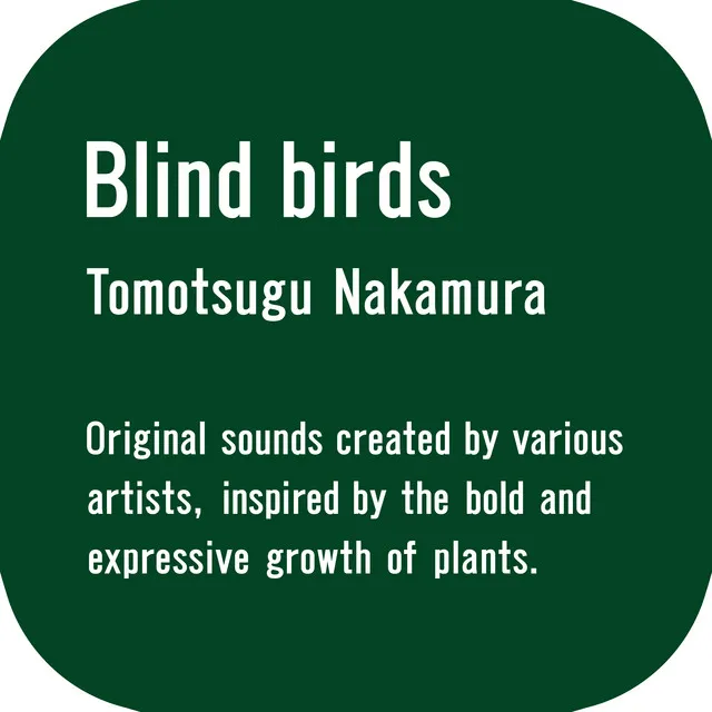 Blind birds