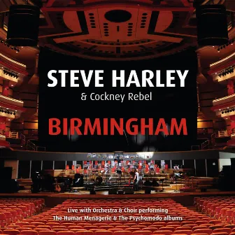 Birmingham - Live with Orchestra & Choir by Steve Harley & Cockney Rebel