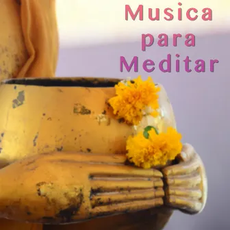 Musica para Meditar - Relajantes Sonidos para Dormir by Yoga Piano Music