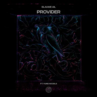 Provider by Blauwe Uil