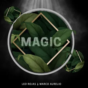 Magic by Leo Rojas