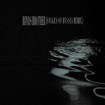 Brother (Snakes Of Russia Remix) by BIINDS