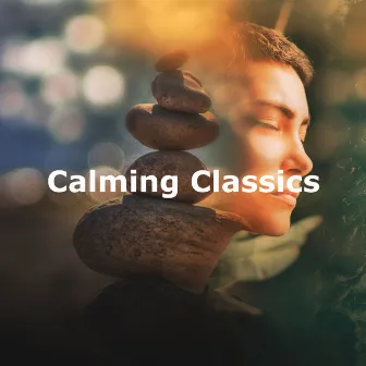 Calming Classics by Meditation Hz