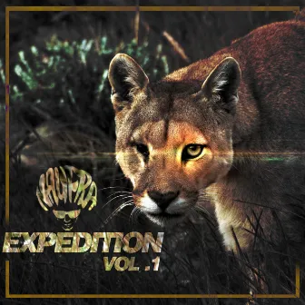 Expedition, Vol. 1 by Naufra