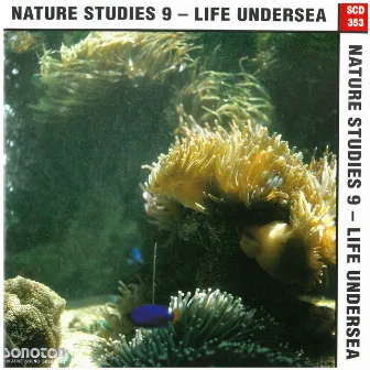 Nature Studies, Vol. 9: Life Undersea by Geoff Whitehorn