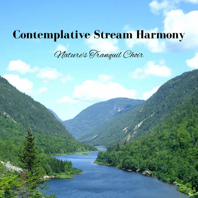 Contemplative Stream Harmony: Nature's Tranquil Choir