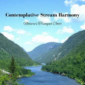 Contemplative Stream Harmony: Nature's Tranquil Choir by 