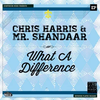 What a Difference - Single by Mr. Shandaar