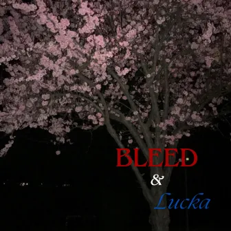 Cherry Trees by bleed