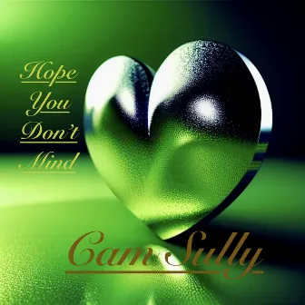 Hope You Don't Mind by Cam Sully