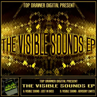 The Visible Sounds EP by Visible Sound