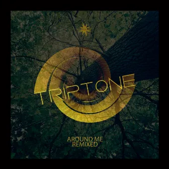 Around Me Remixed by Triptone