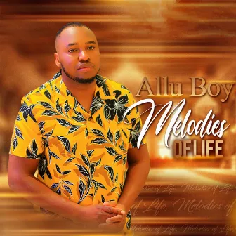 Melodies of Life by Allu Boy