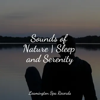 Sounds of Nature | Sleep and Serenity by Academia de Música para Massagem Relaxamento