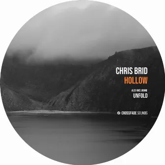 Hollow by Chris Brid