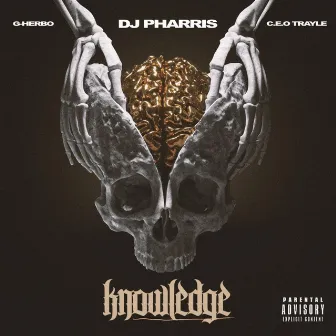 Knowledge by DJ Pharris