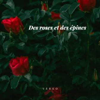 Des roses et des épines by Verko