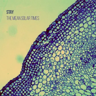 The Mean Solar Times by Stay