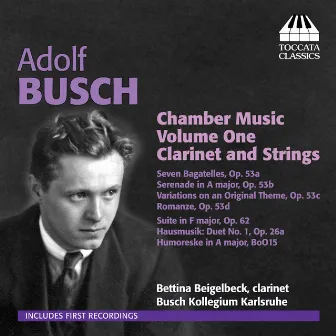 Busch: Chamber Music, Vol. 1 by Yasushi Ideue