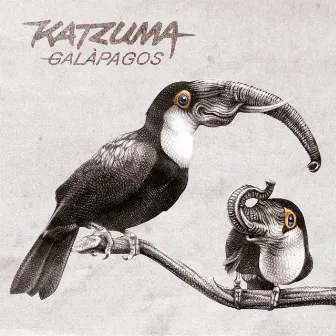 Galapagos by Katzuma