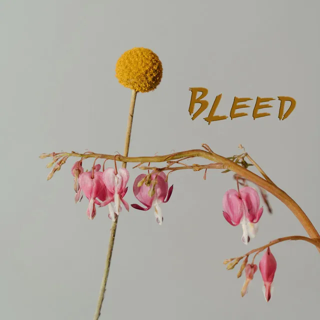 Bleed