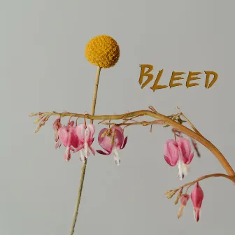 Bleed by Big Holiday