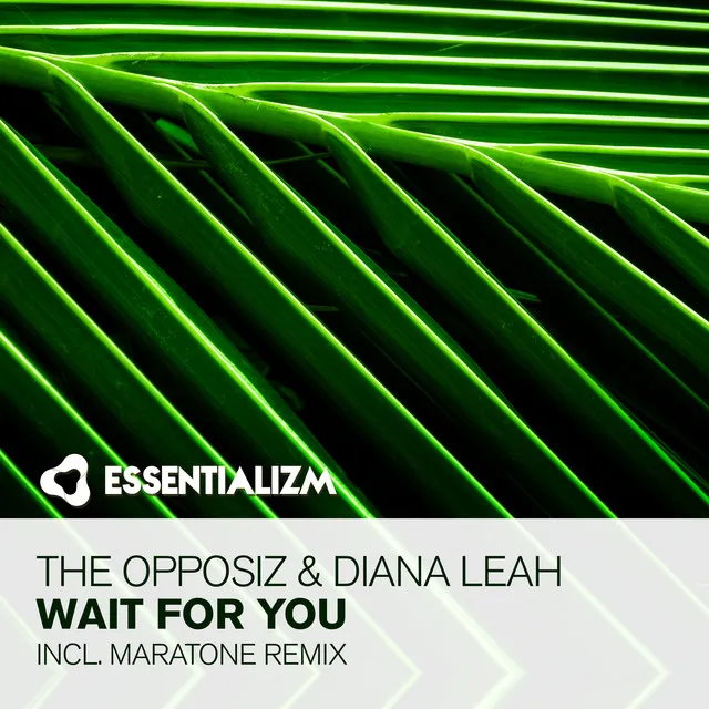 Wait For You - Maratone Remix