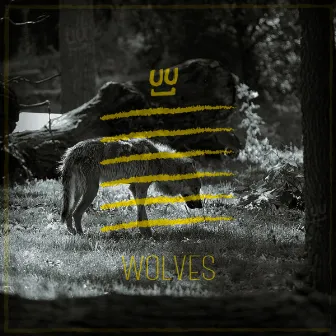 Wolves by Hector Aguero