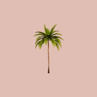 Mi palmera by Noa Caleo