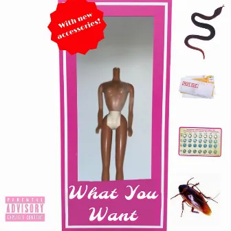 What You Want by Angel Blacc