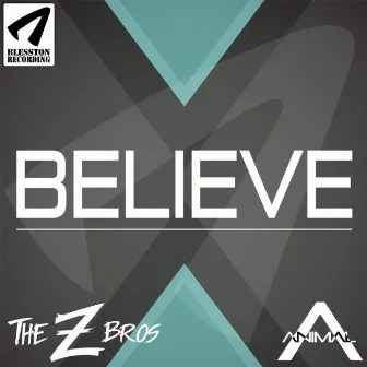 Believe by The Z Bros