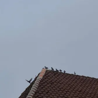 und wenn du irgendwann kurz mal halt machst by kuben