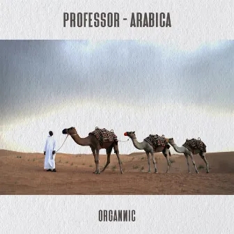 Arabica by Professor (RO)