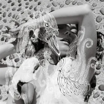 Vespertine by Björk