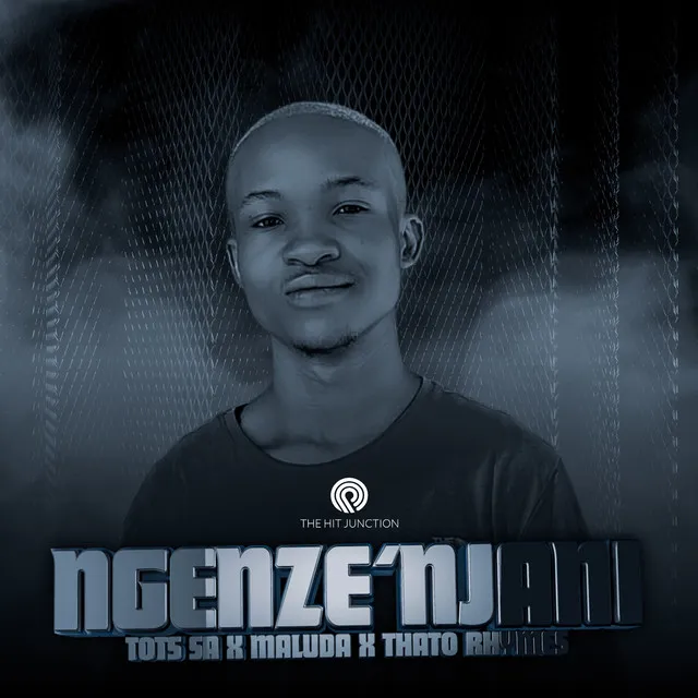 Ngenze'njani