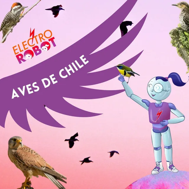 Aves de Chile