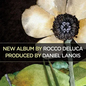 Rocco Deluca by Rocco DeLuca