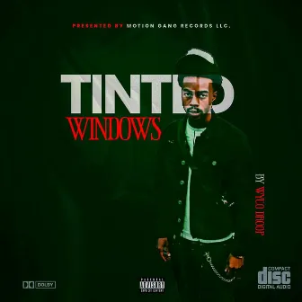 Tinted Windows by Wyco Droop