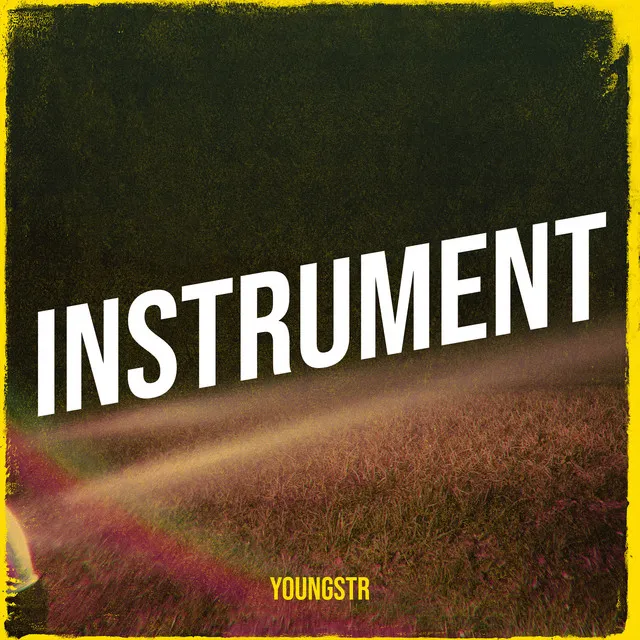 Instrument