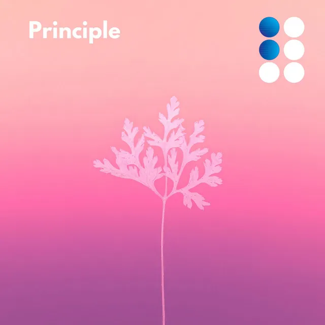 Principle