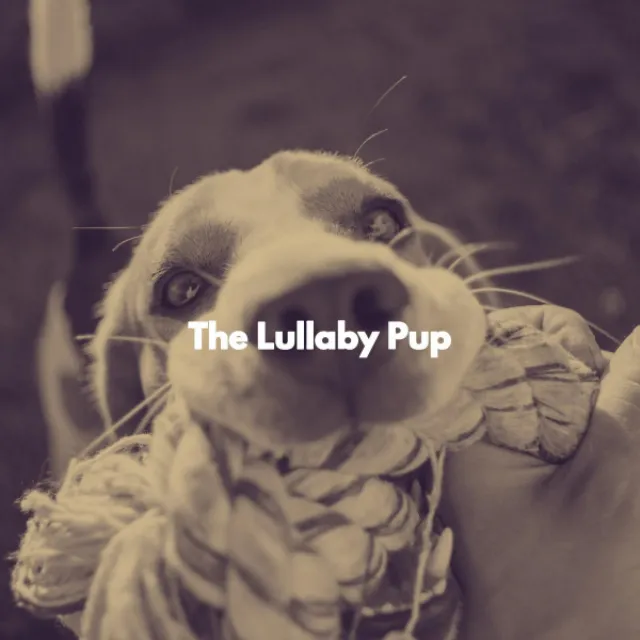 The Lullaby Pup